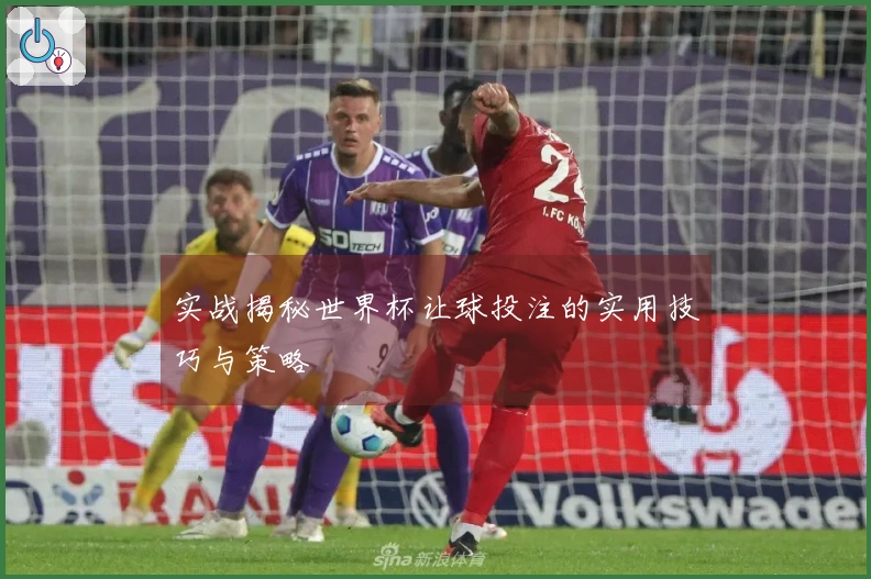 实战揭秘世界杯让球投注的实用技巧与策略
