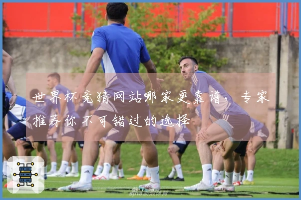 世界杯竞猜网站哪家更靠谱，专家推荐你不可错过的选择