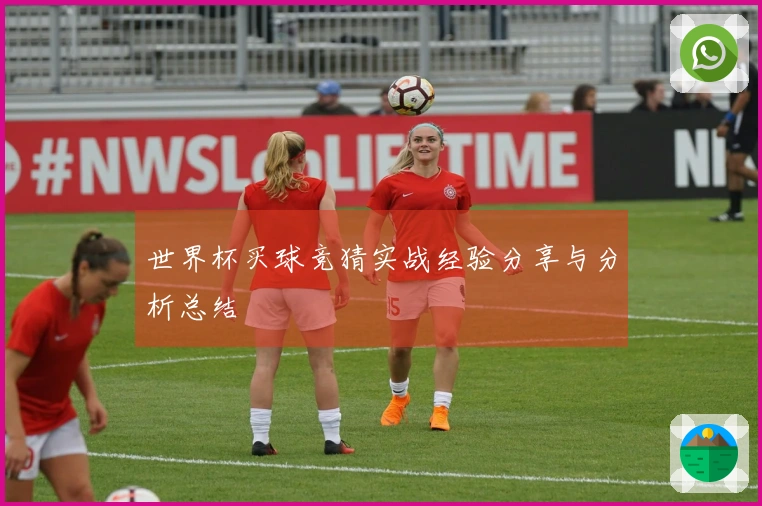 世界杯买球竞猜实战经验分享与分析总结