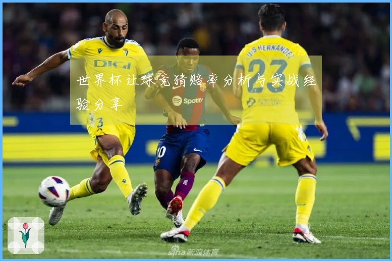 世界杯让球竞猜赔率分析与实战经验分享