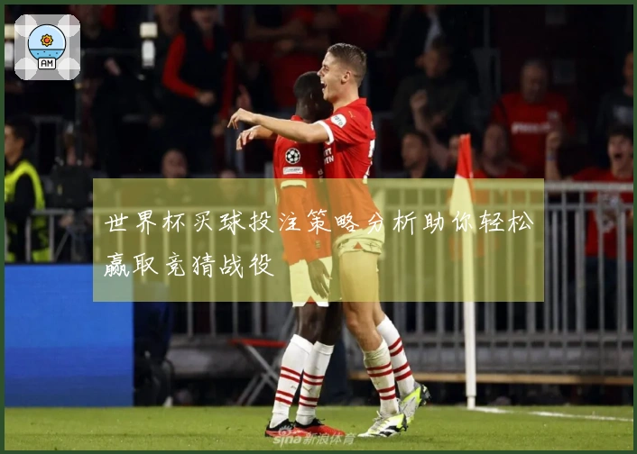 世界杯买球投注策略分析助你轻松赢取竞猜战役