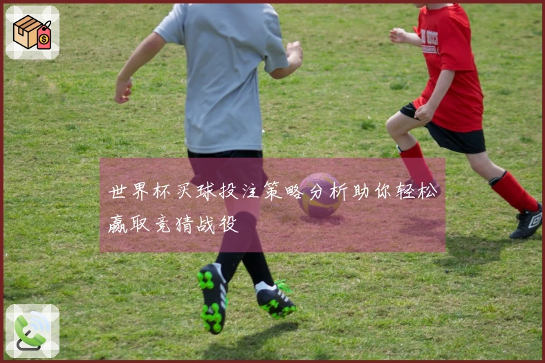 世界杯买球投注策略分析助你轻松赢取竞猜战役
